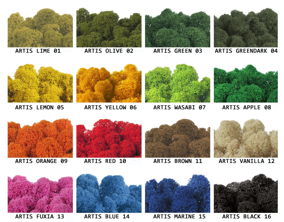 Мох ягель стабилизированный цвета