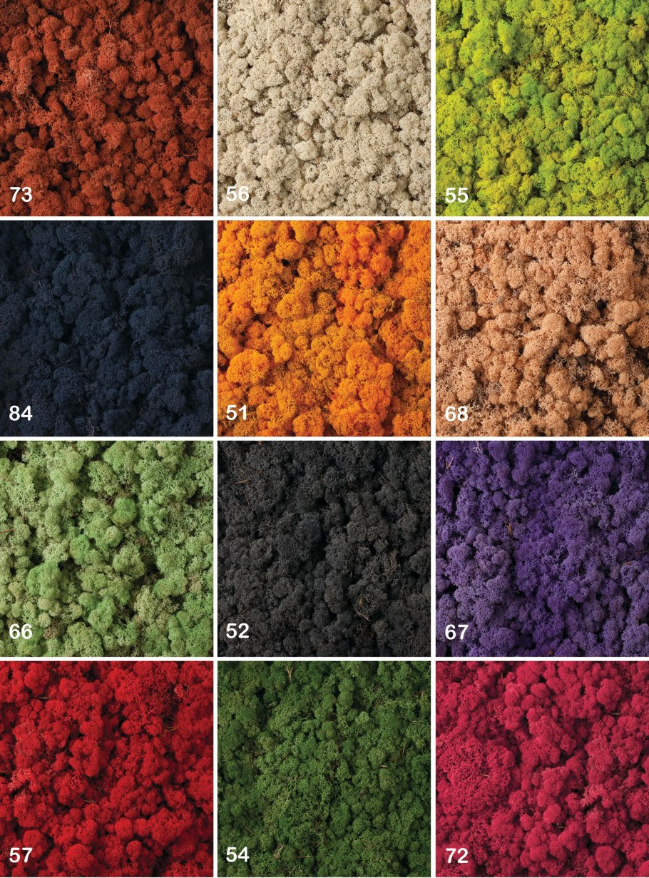 Мох текстура