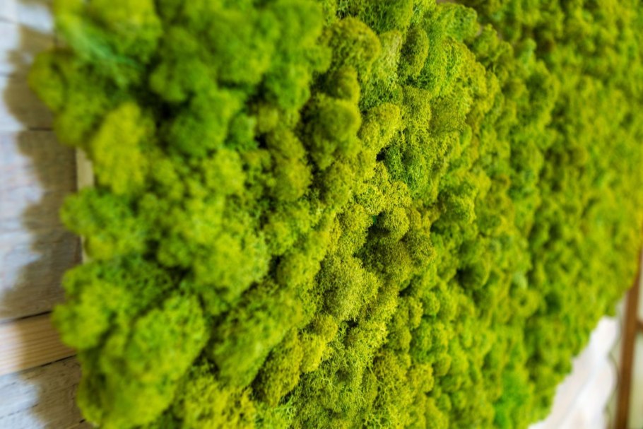 Газон текстура