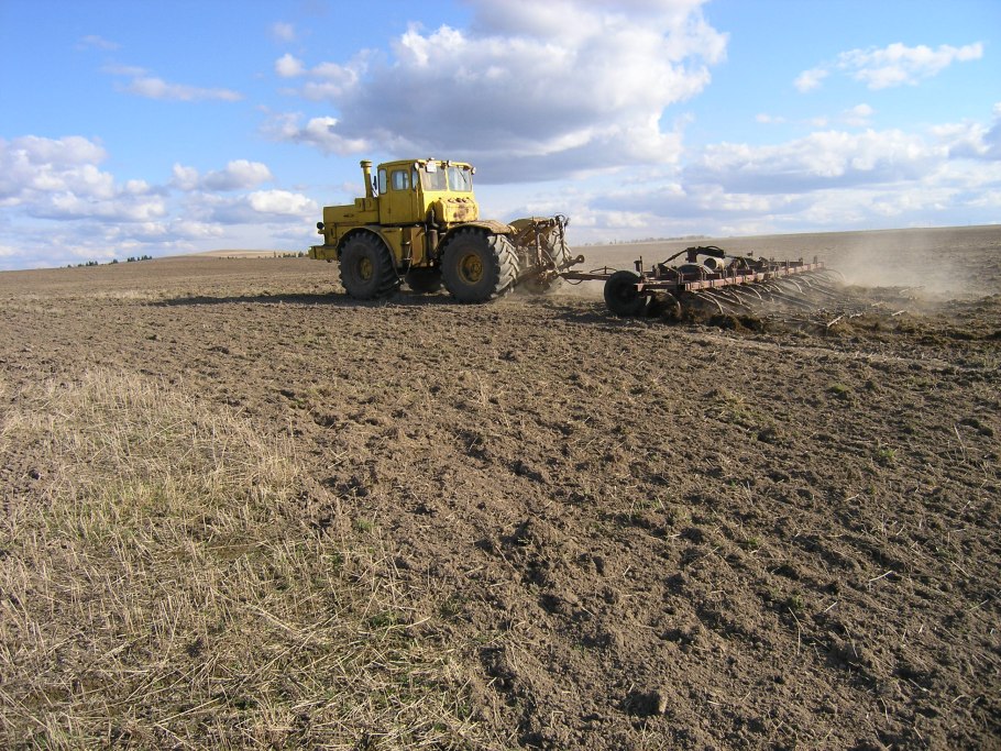 Поля пшеницы во Франции