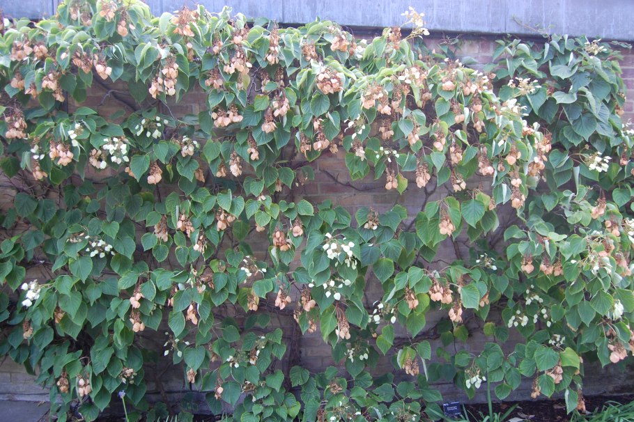 Персидская Империя на современной карте