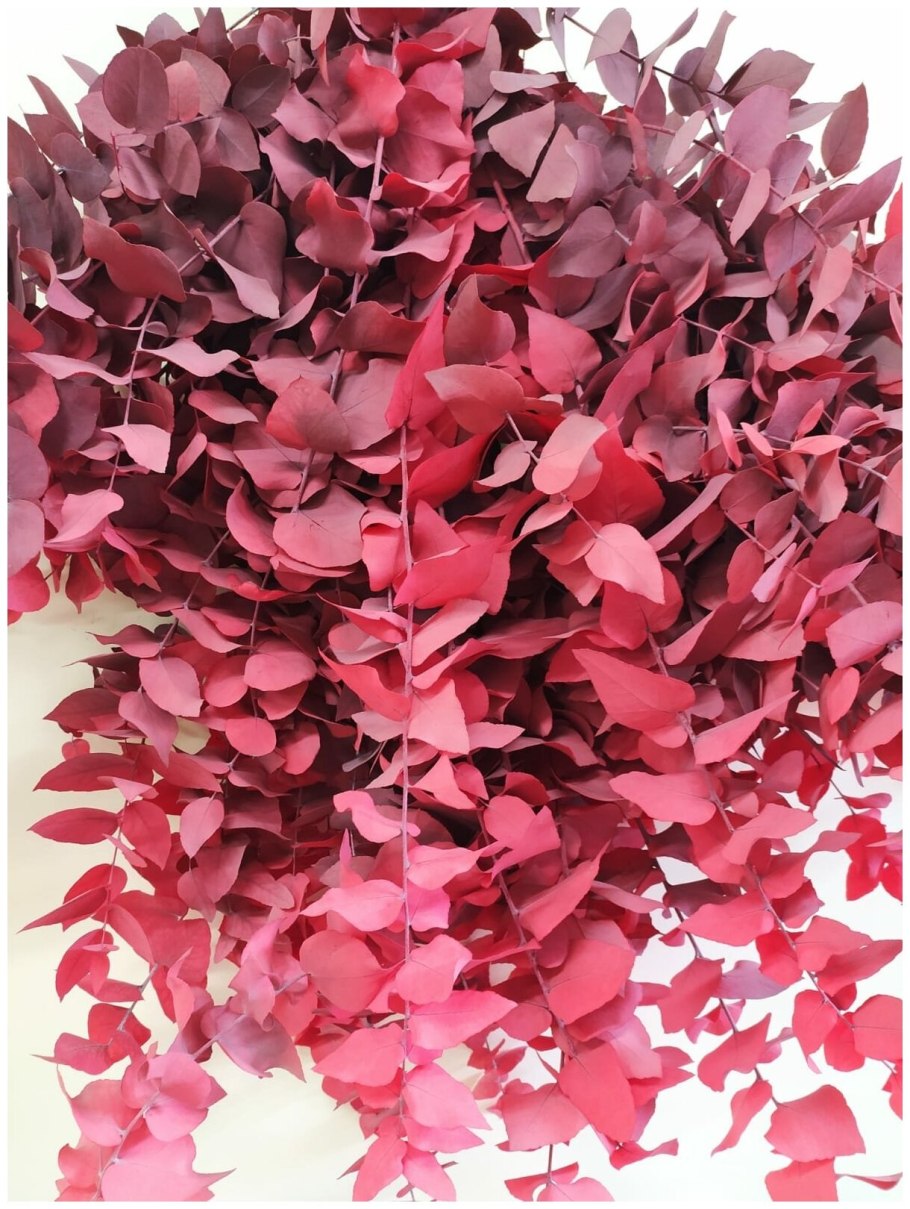 Эвкалипт стабилизированный как распушить