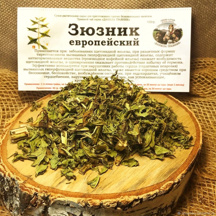 Зюзник европейский трава