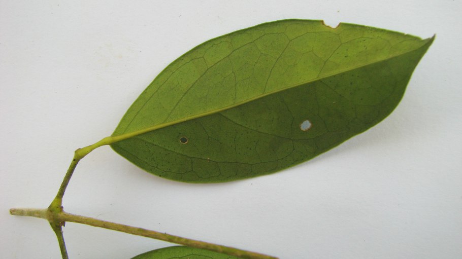 Красивые женщины после 40