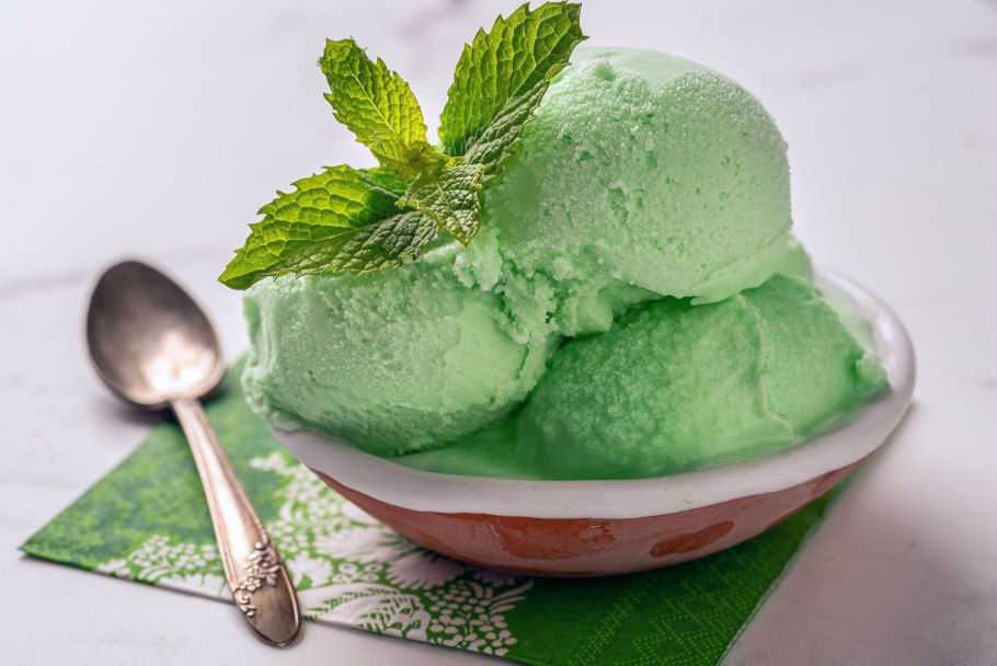 Mint Chocolate Chip Ice Cream