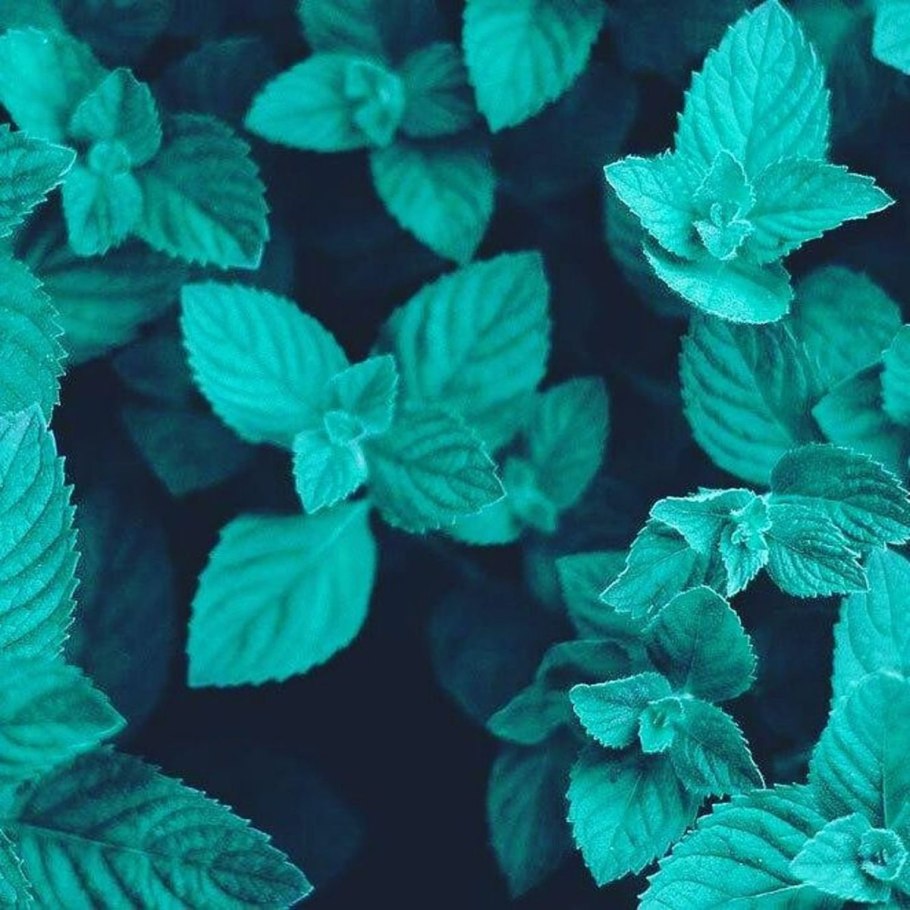 Бирюзовый десерт