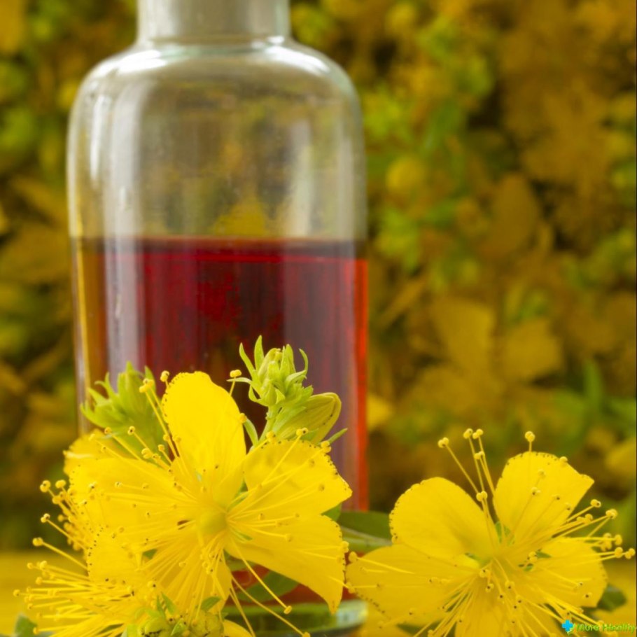 Зверобой трёхграннолистный