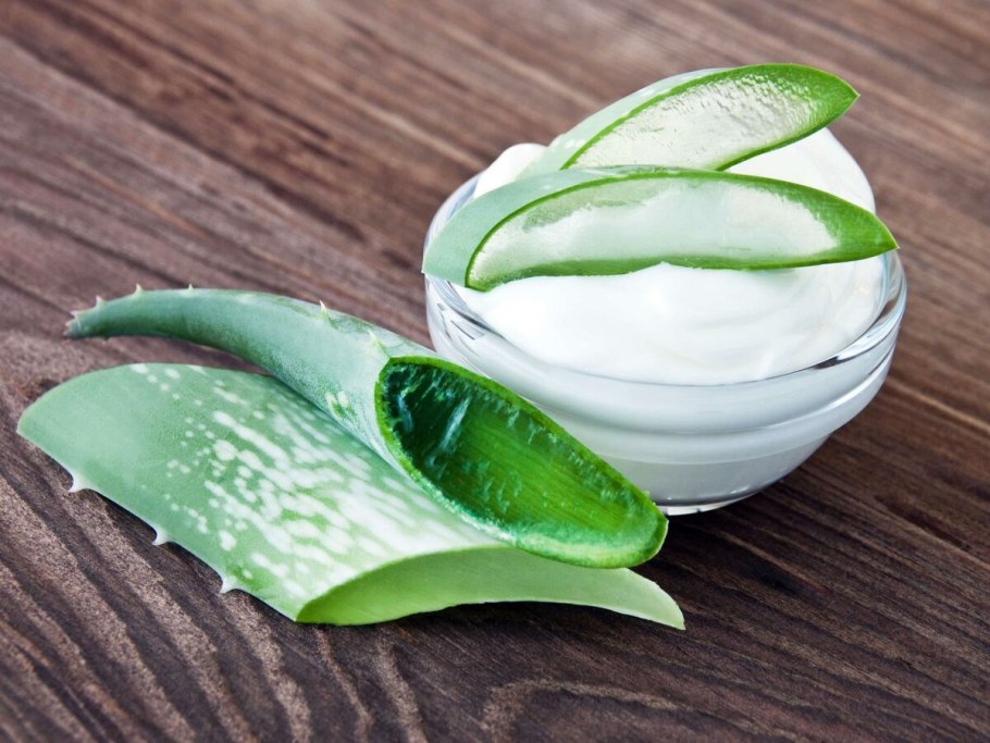 Алоэ Вера