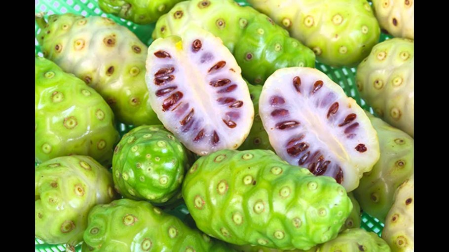 Сырный фрукт нони что это