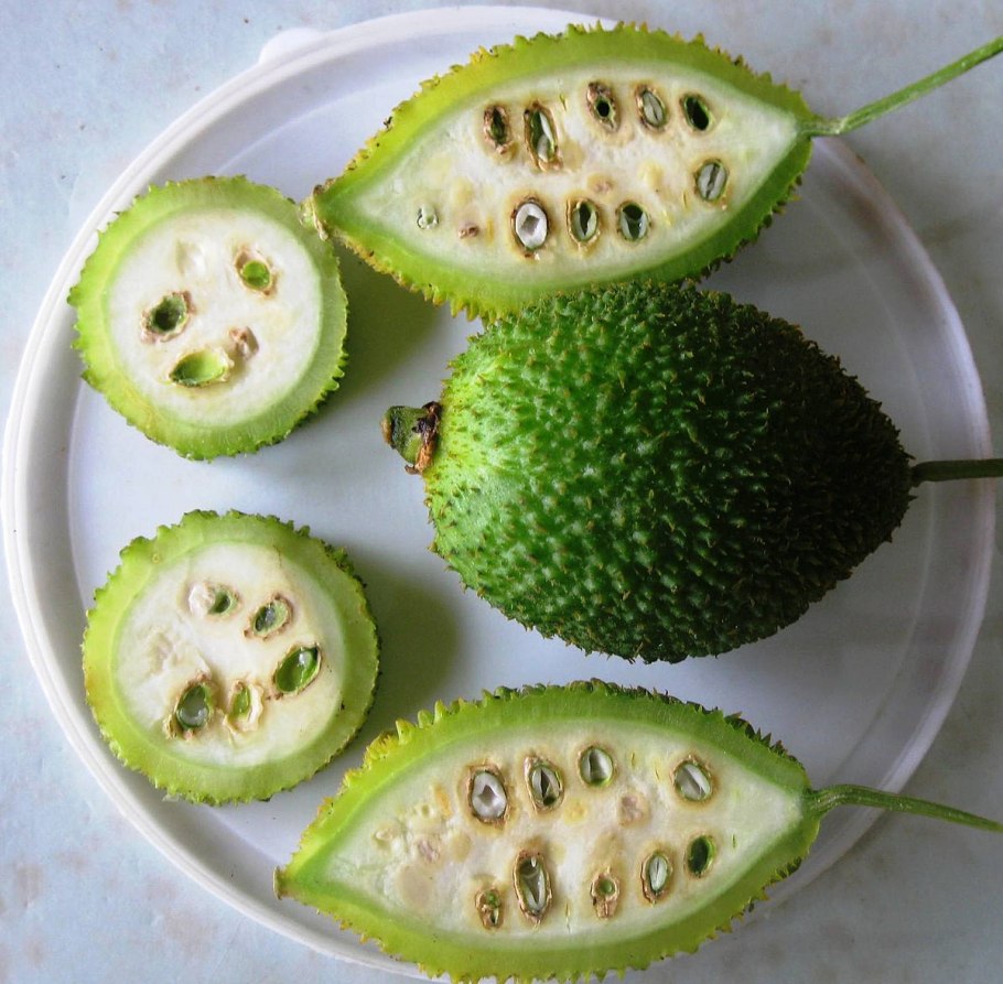 Момордика харанция