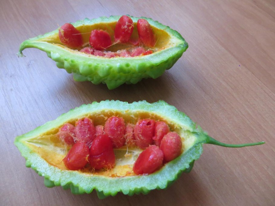 Момордика Спиноза