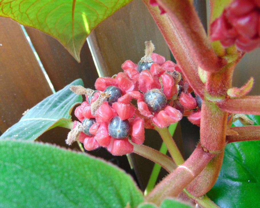 Excellence Moscow косметика