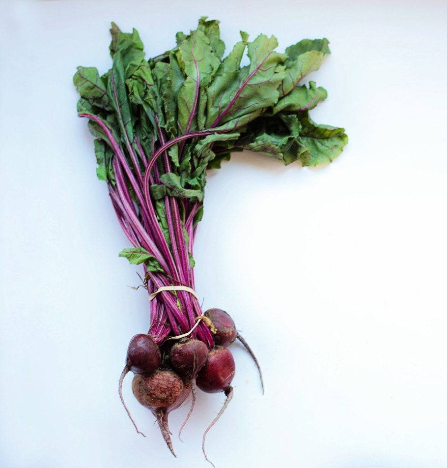 Erismann Elegance 3618-6