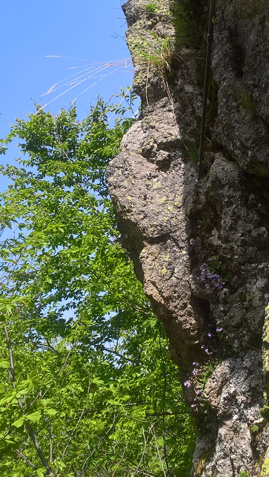 Biodroga MD perfect Hydration 24h Care Rich