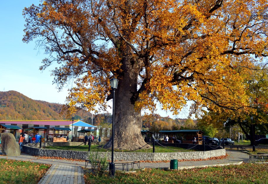 Карбюратор leader pz19jb