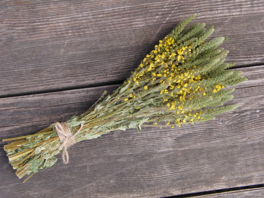 Подмаренник Луговой