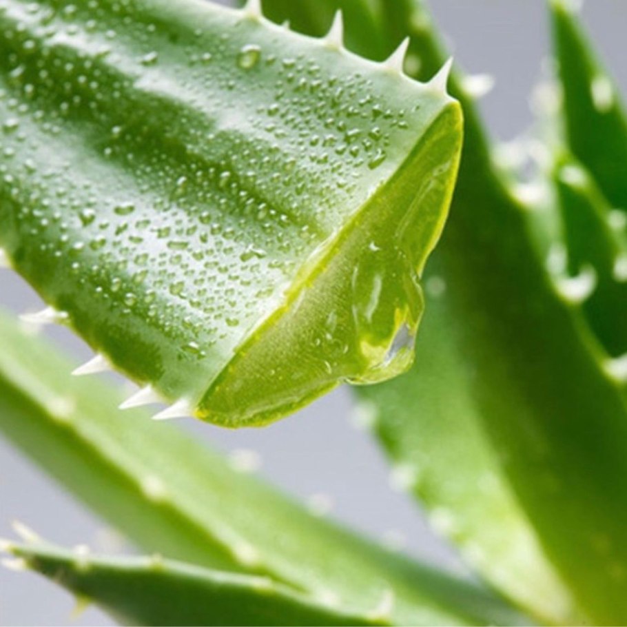 LELNIA Aloe barbadensis Leaf Juice цена