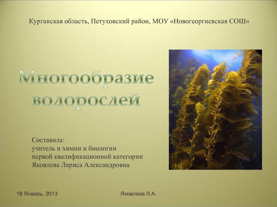 Строение водорослей хлорелла 7 класс