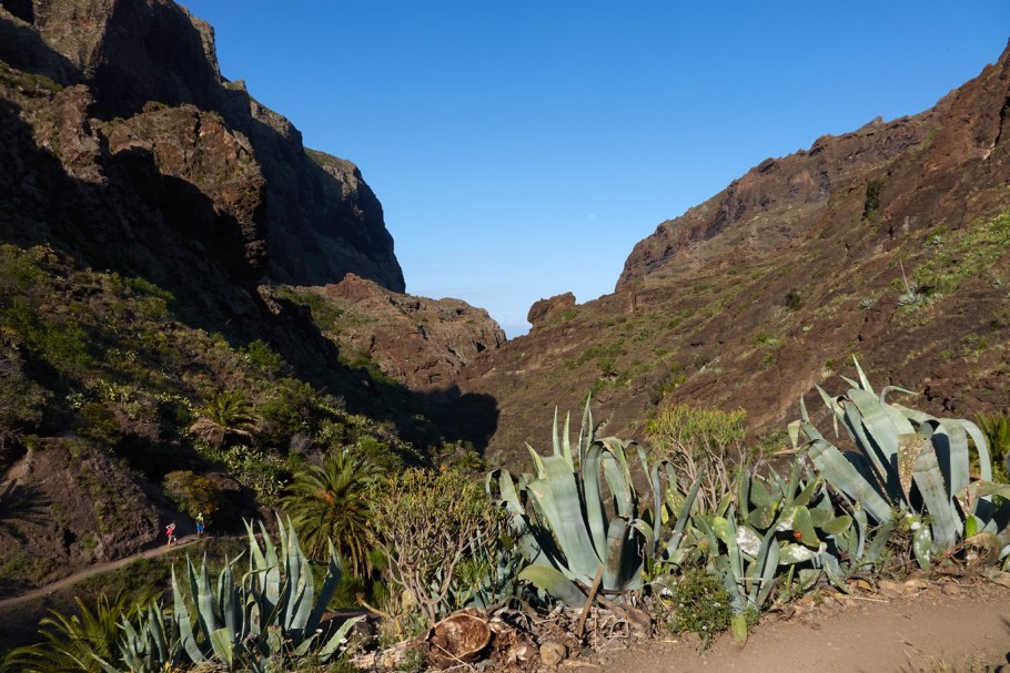 Жизнь на Канарах