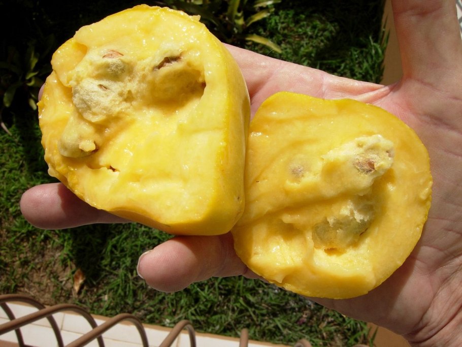 Арас Агаларов дом 1905 года