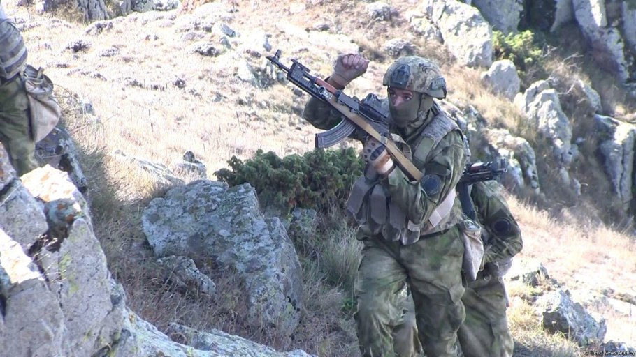 Араза дерево