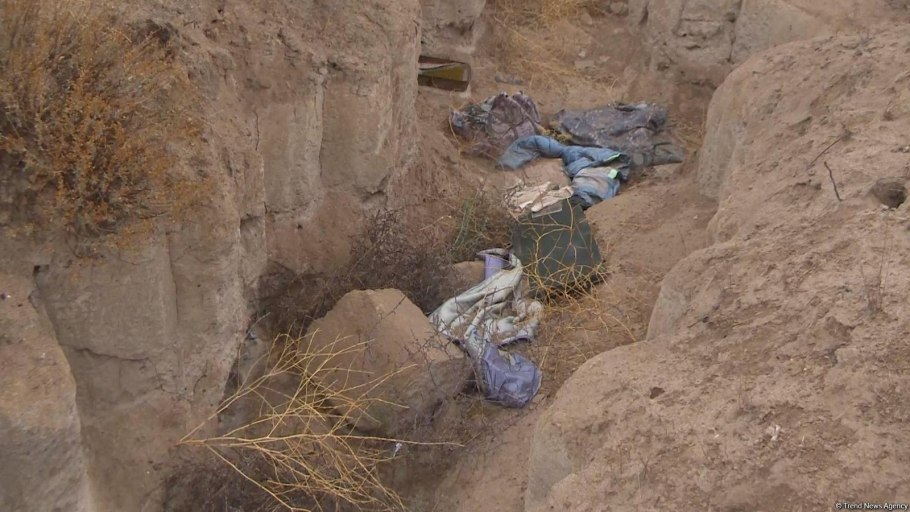 Желтый экзотический фрукт