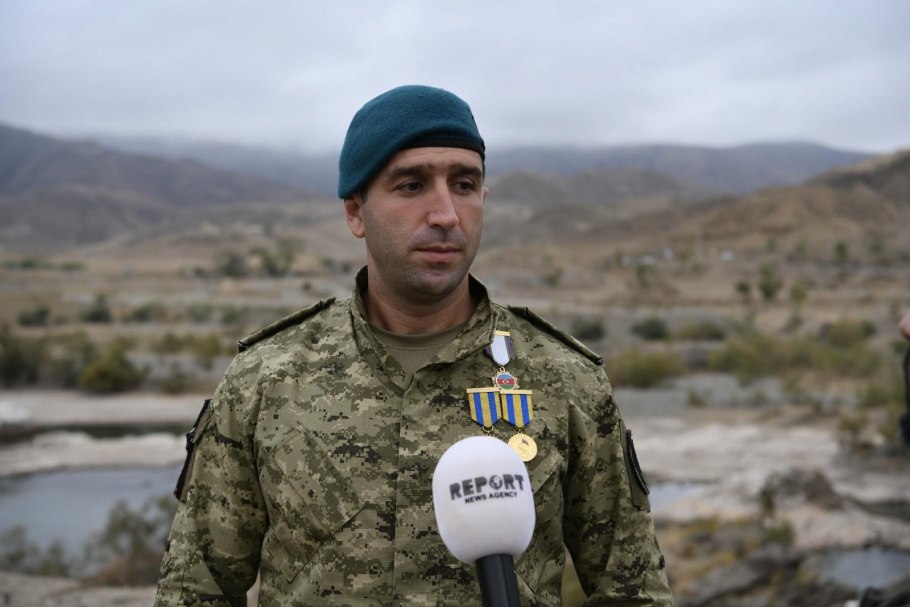 Растение Араза