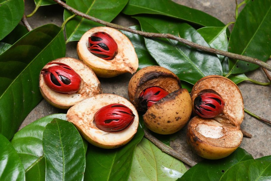 Nutmeg — мускатный орех