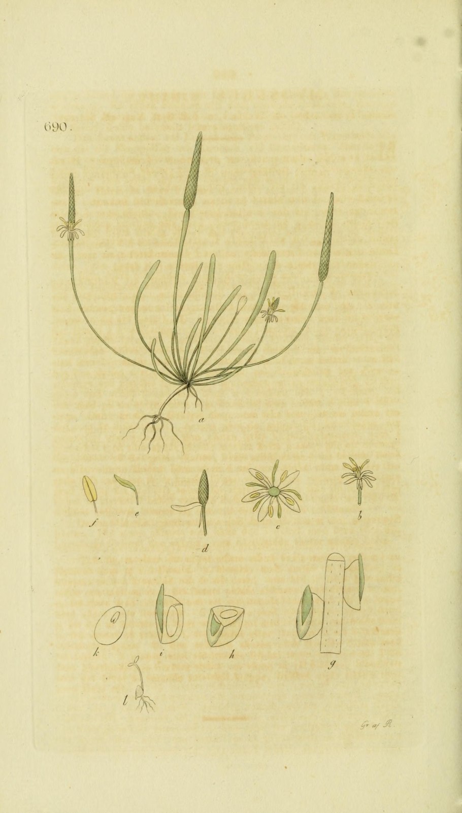 Мини экскаватор Kobelco sk025