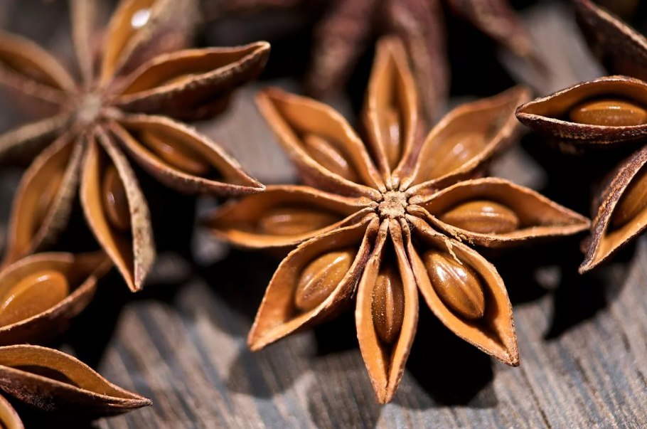 Бадьян звездчатый семена