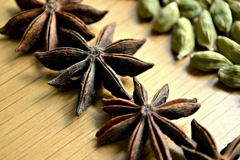 Бадьян звездчатый растение