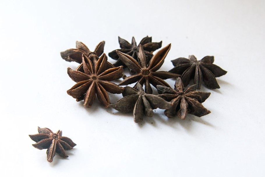 Бадьян анисовый побег