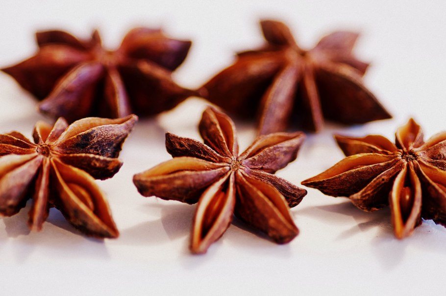 Бадьян цветет