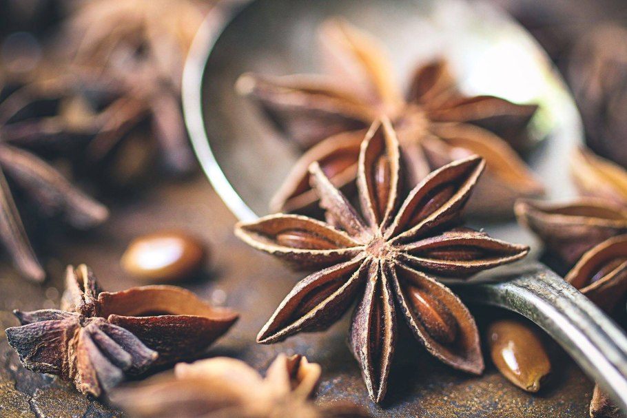 Бадьян растение