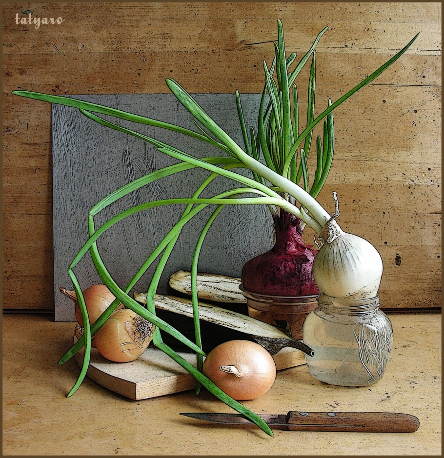 Chives зеленый чеснок