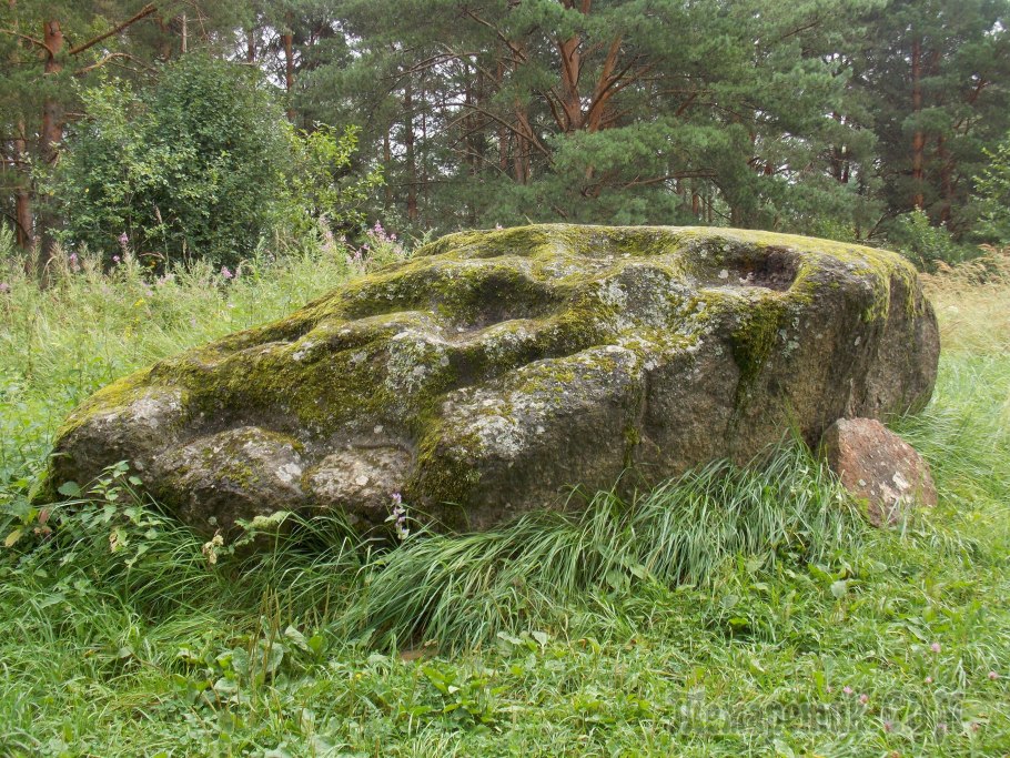 Мох на Камне