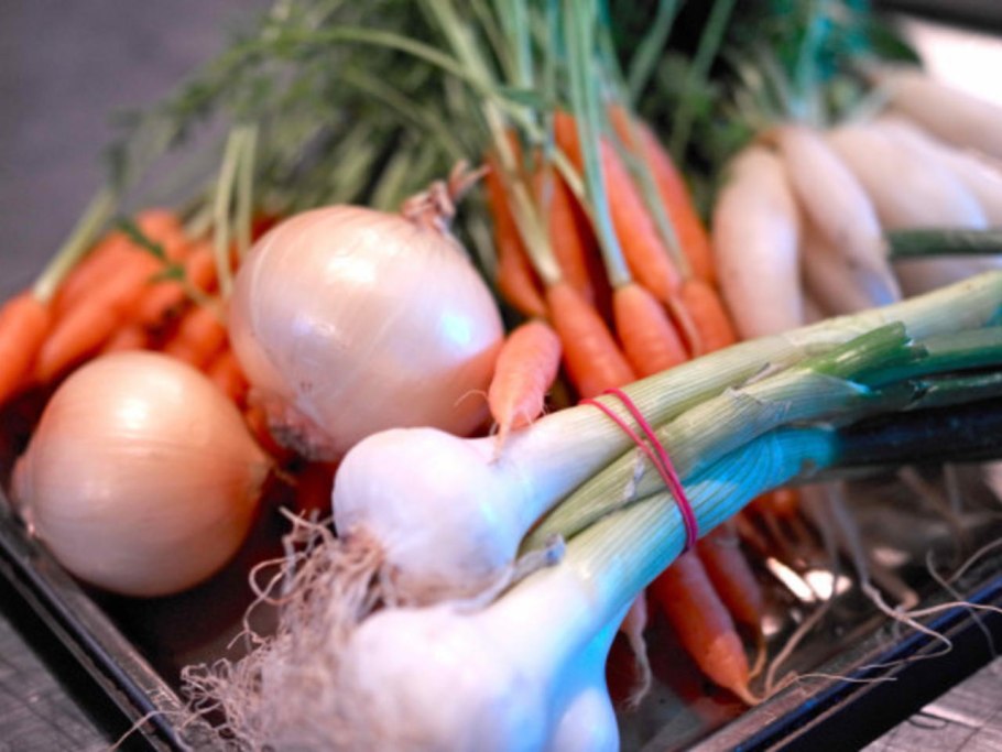 Ургинея Приморская