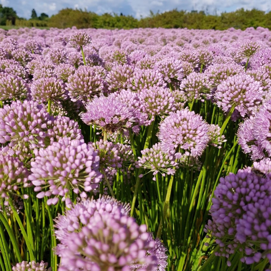 Морской стиль в одежде для мужчин