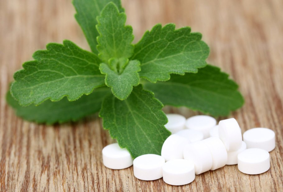 Stevia растение