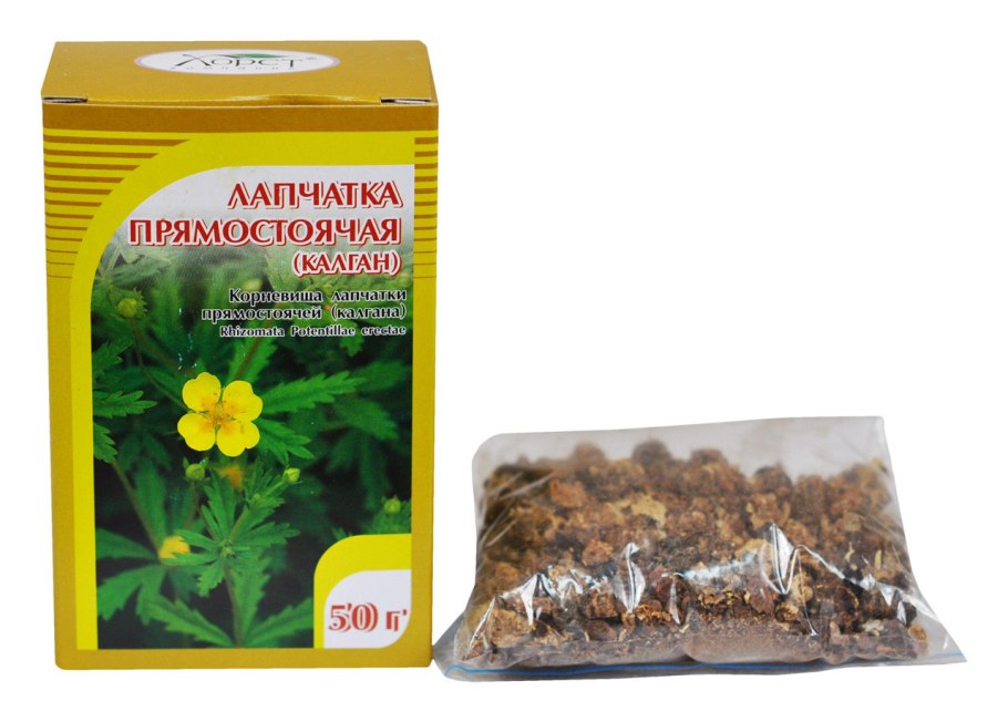 Трава лапчатка гусиная