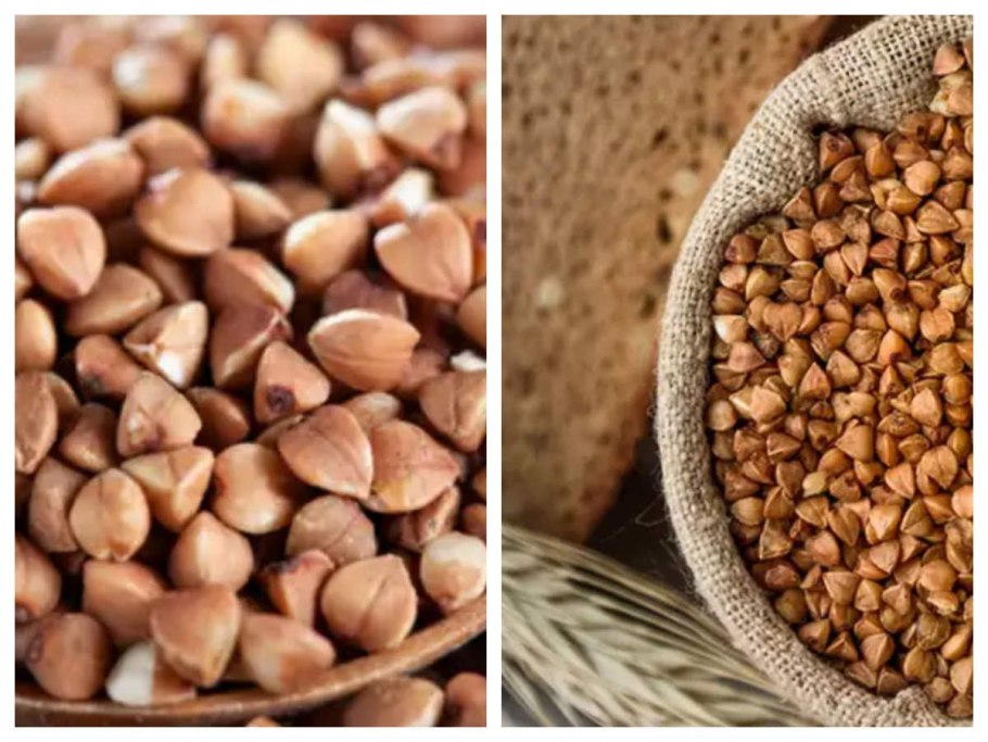 Гречиха посевная семена