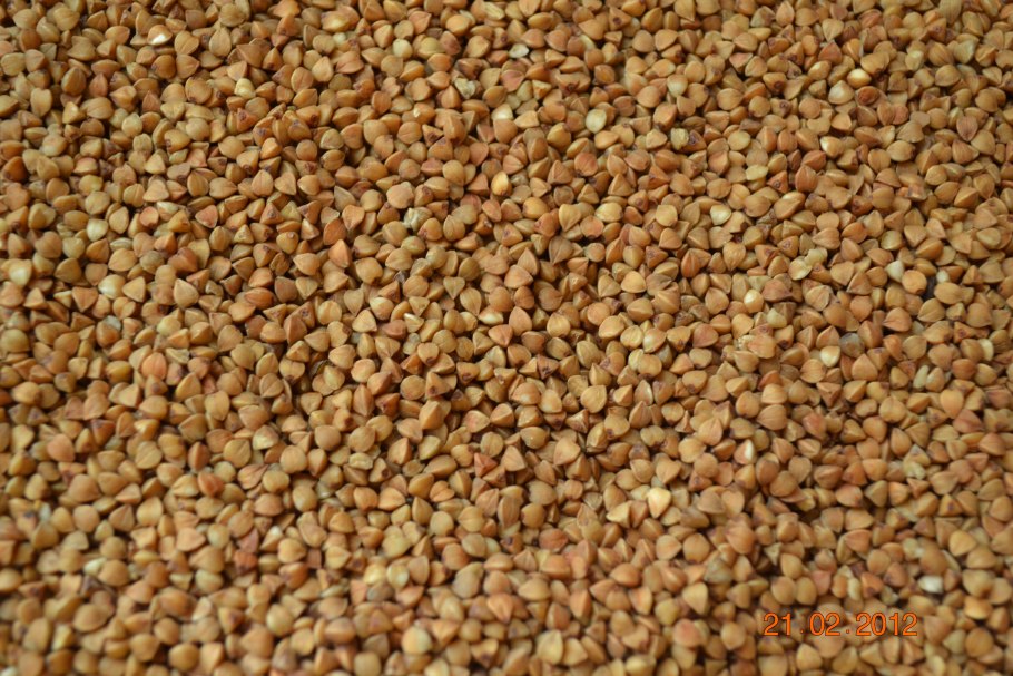 Гречиха посевная крупа
