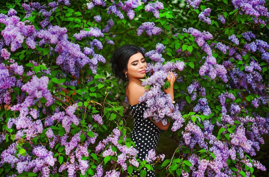 Сирень обыкновенная аугериус д'Бусбек