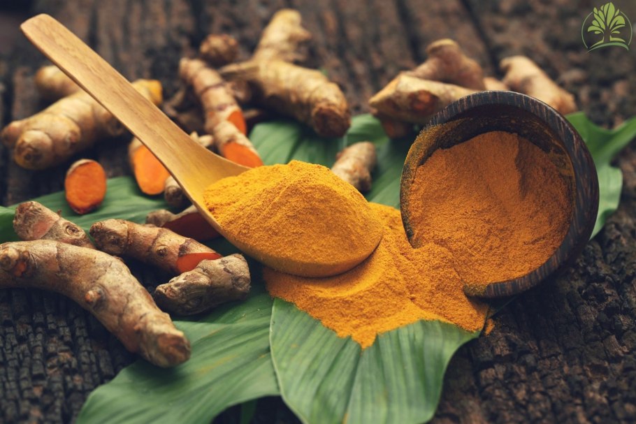 Куркума плоды