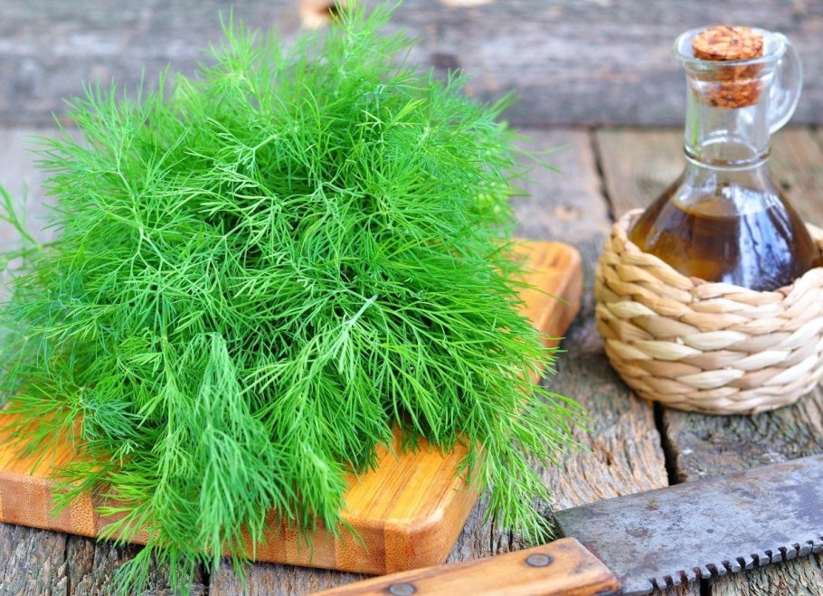 Укропная эссенция