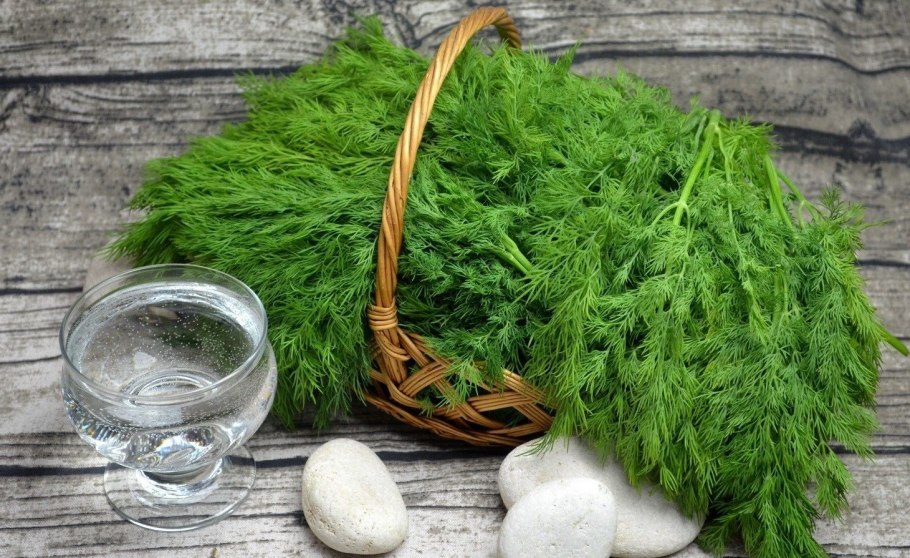 Укроп травка