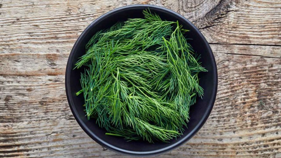 Пучок укропа