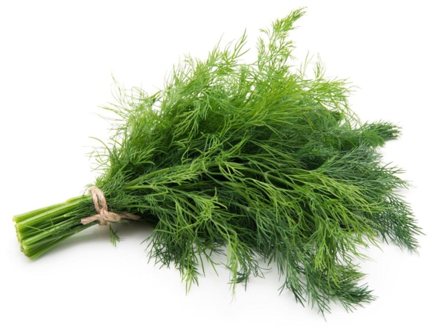 Укроп 100 гр