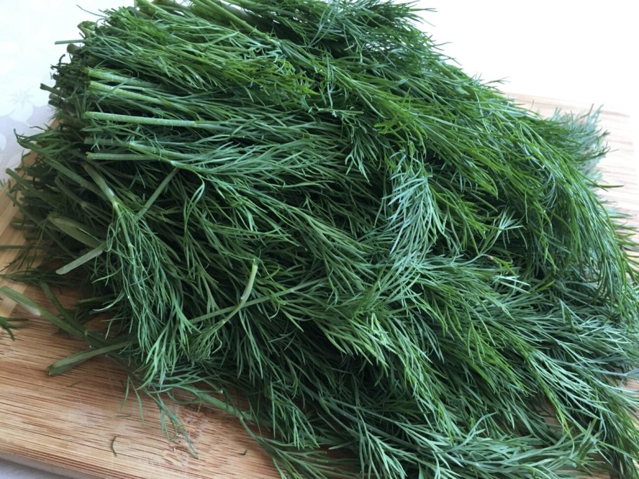 Укроп Ржеуцкий