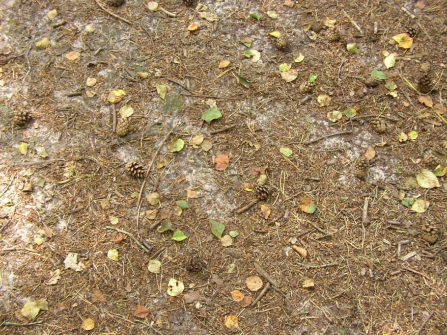 Макро природа почва